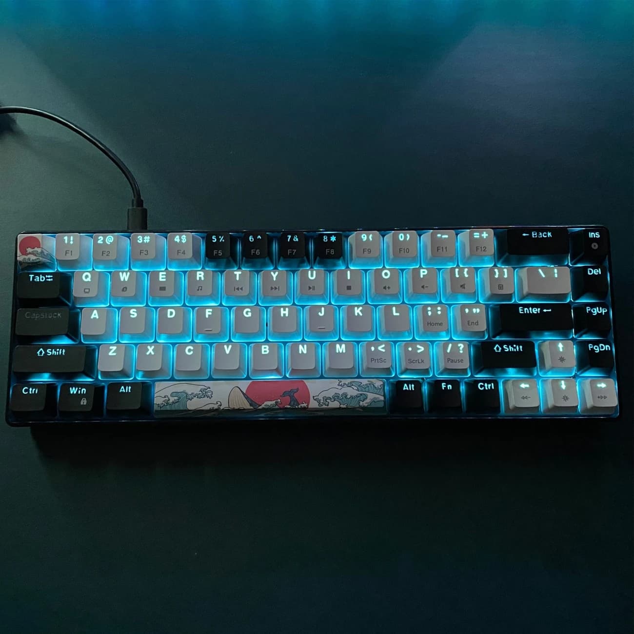 Gamer Setup